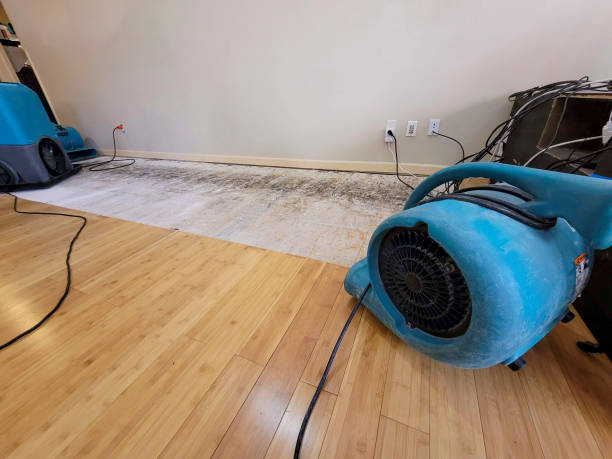 Professional Burst Pipe Water Damage technician working in Mount Gilead, OH